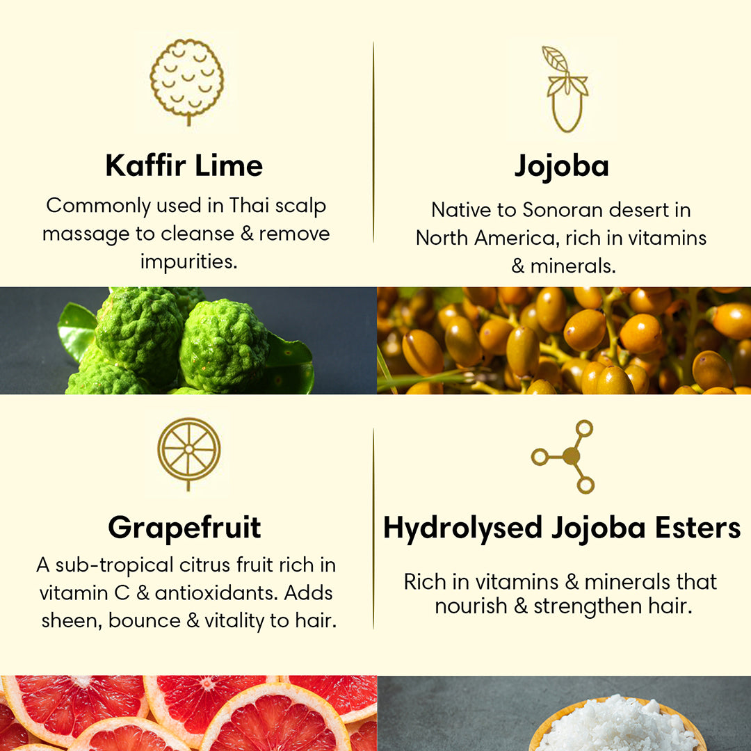 OILY HAIR Hair Cleanser | Shampoo | Kaffir Lime Jojoba & Grapefruit - 200ml - Hair Cleanser
