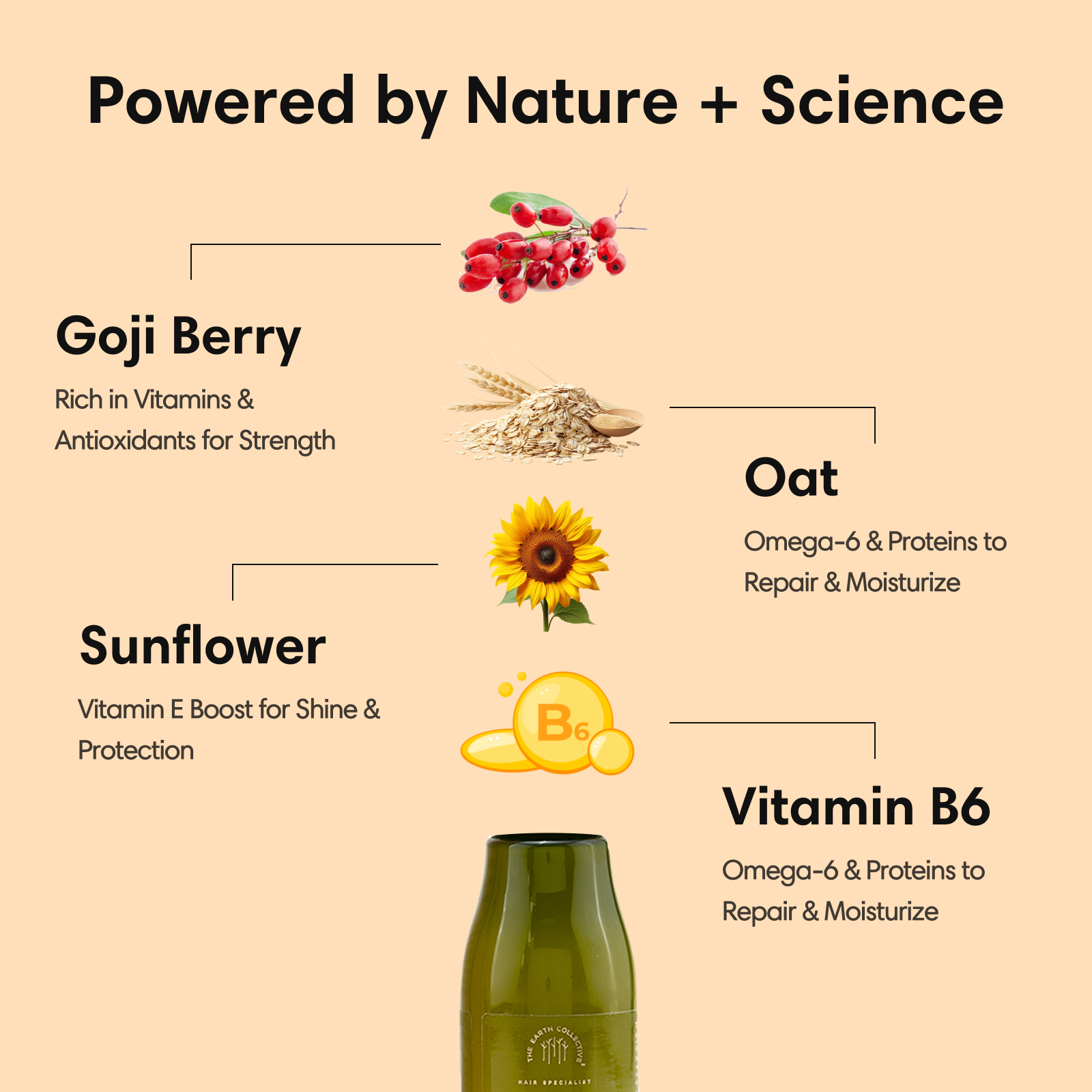 HAIR MOISTURIZER | Leave-in Conditioner | Goji berry Oat & Sunflower - 100ml - Leave-in Treatment