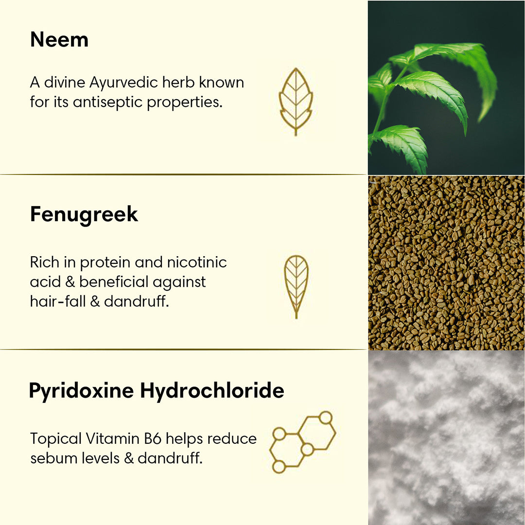 ANTI-DANDRUFF | Hair Conditioner | Neem & Fenugreek - 200ml - Hair Conditioner