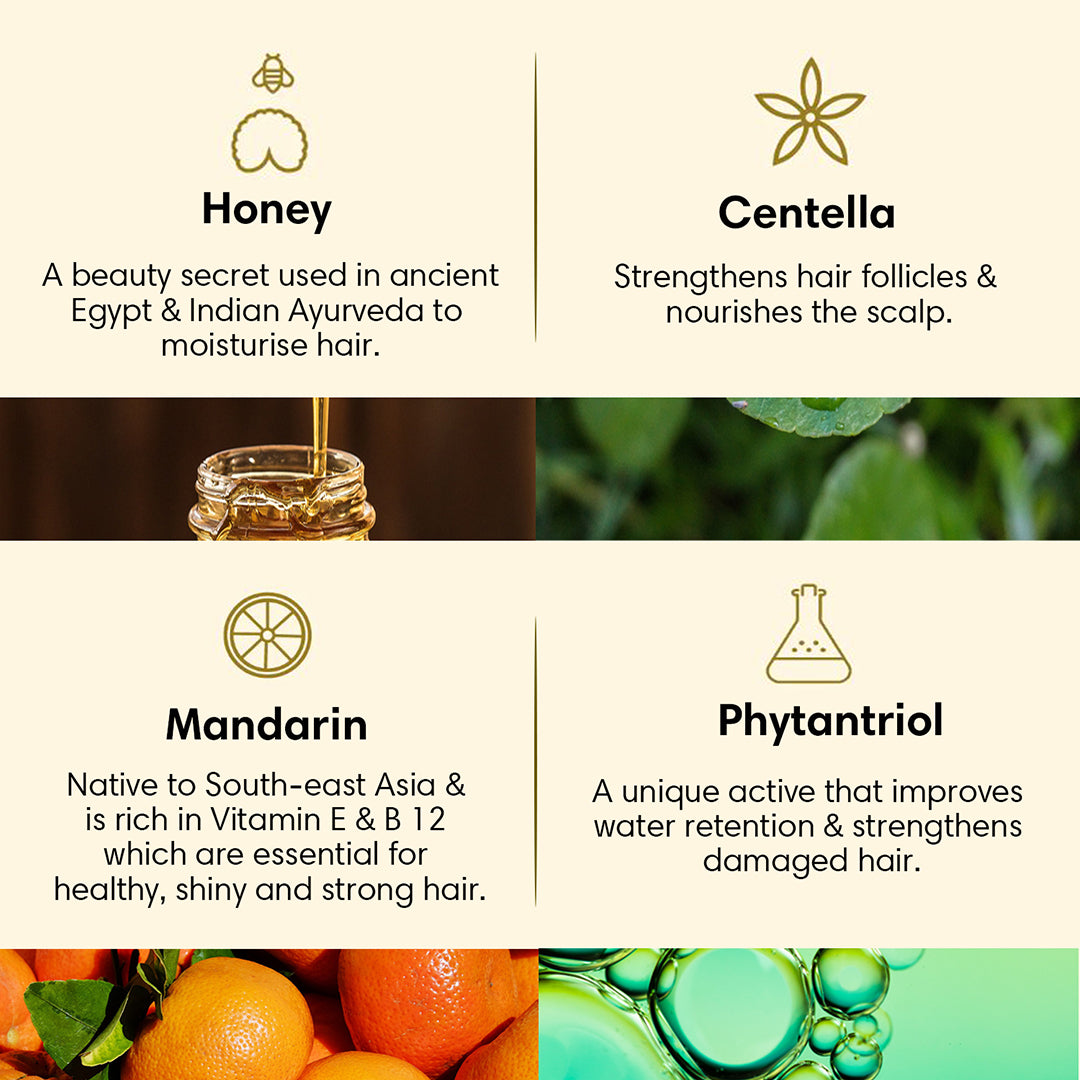 DRY & DAMAGED | Hair Conditioner | Honey Centella and Mandarin - 200ml - Hair Conditioner