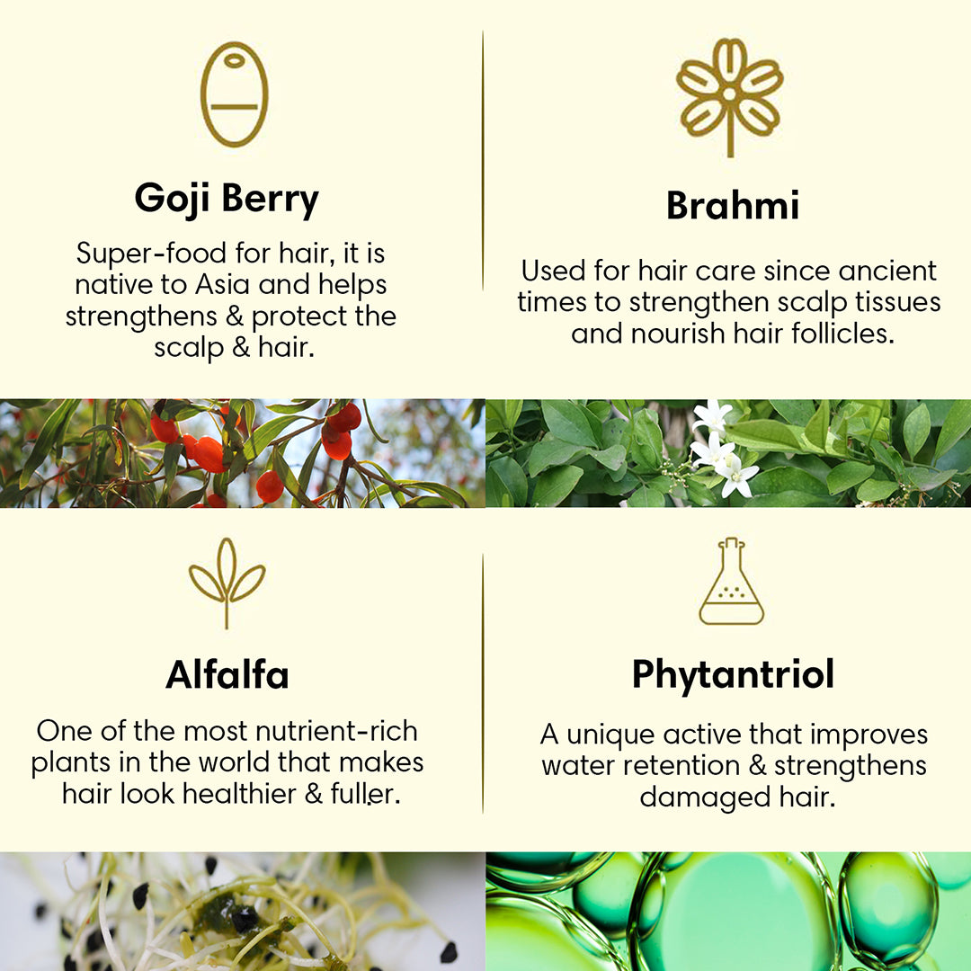 NOURISHING Hair Cleanser | Shampoo | Goji Berry Brahmi & Alfalfa - 200ml - Hair Cleanser