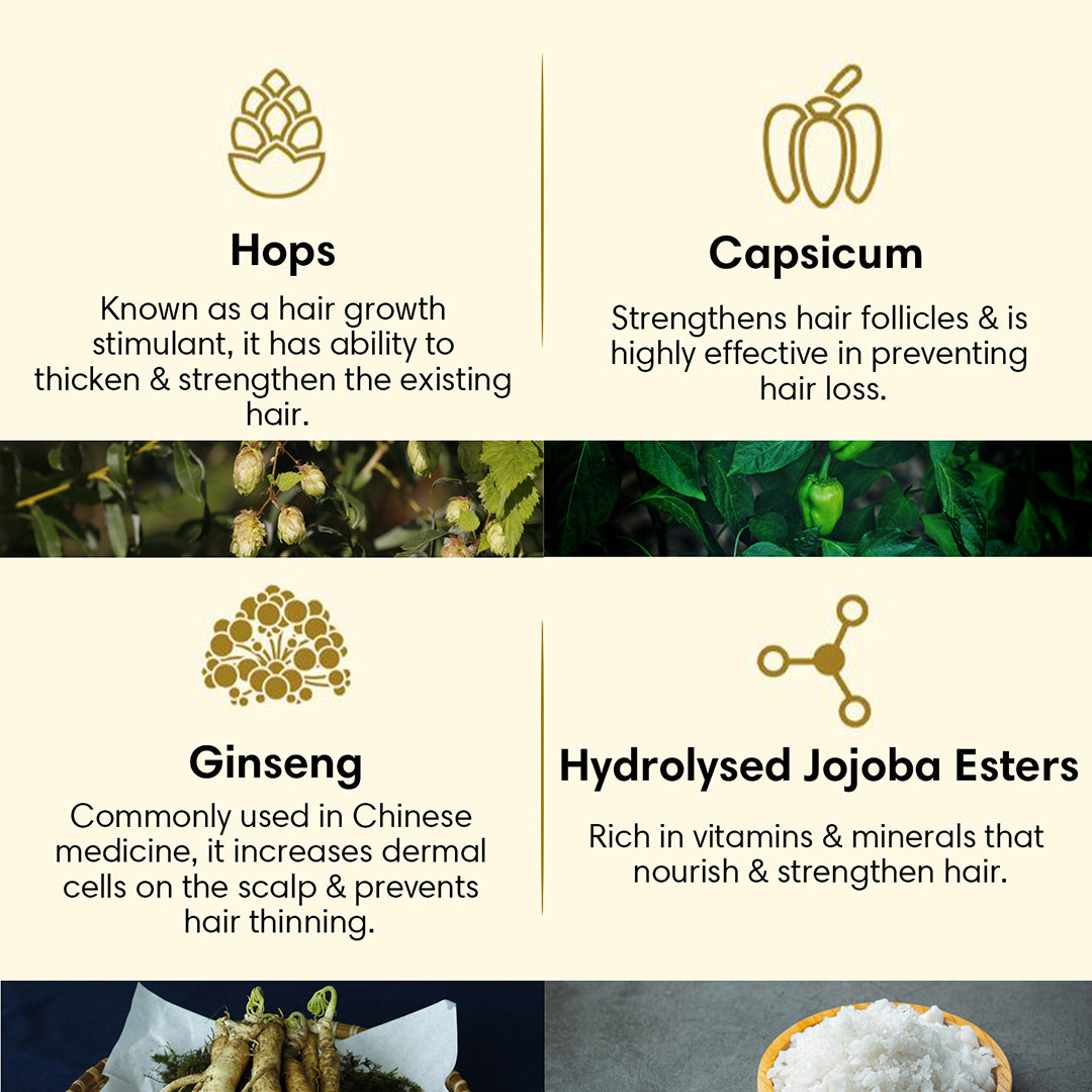 WEAK & THINNING HAIR | Hair Conditioner | Hops Capsicum & Ginseng - 200ml - Hair Conditioner