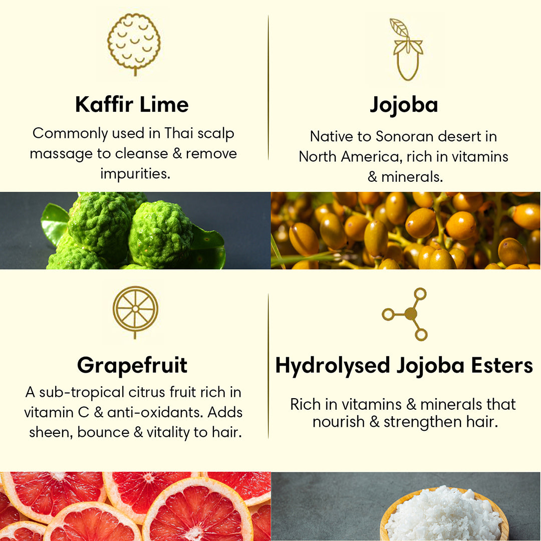 OILY HAIR | Hair Conditioner | Kaffir Lime Jojoba & Grapefruit - 200ml - Hair Conditioner