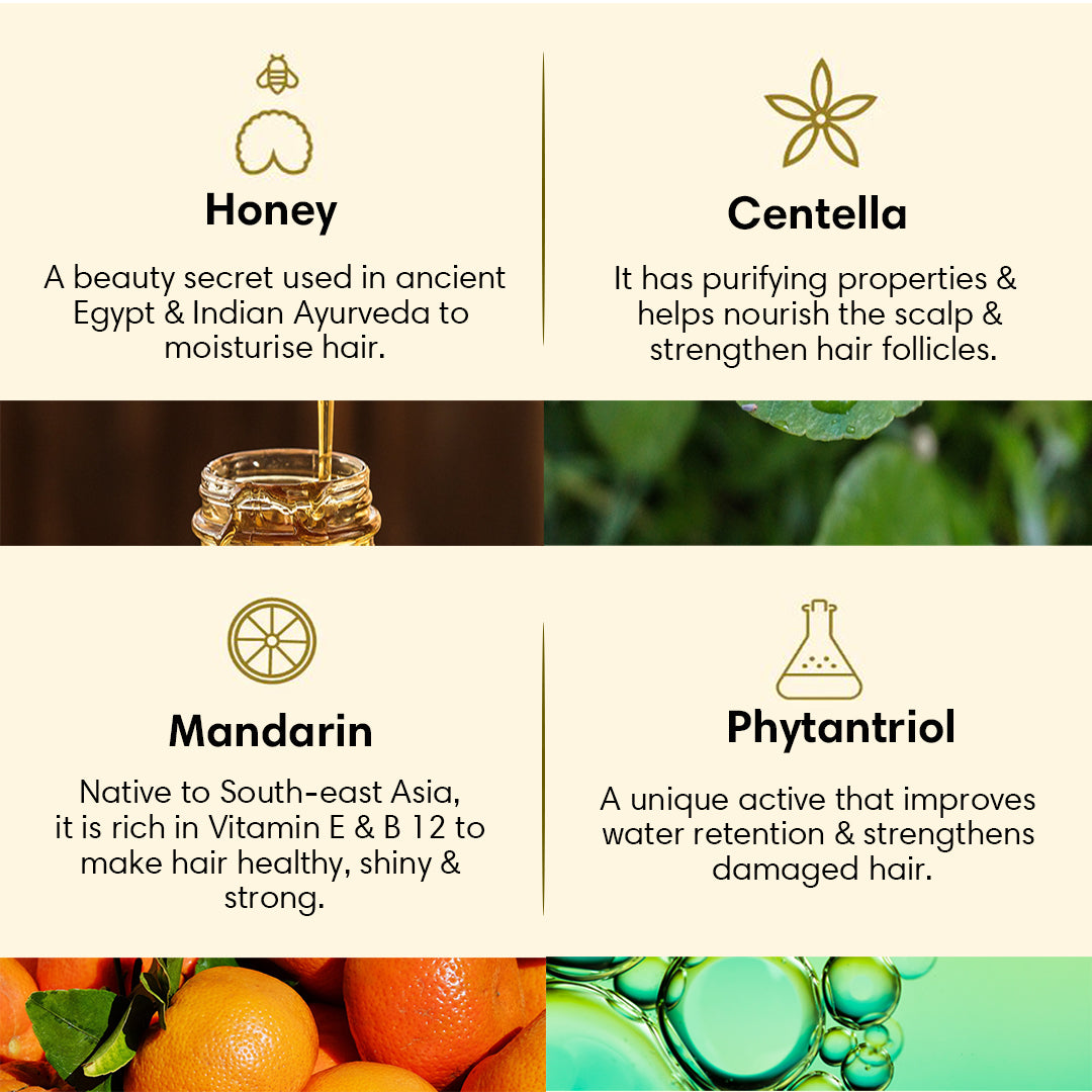 Dry & Damaged Hair Cleanser | Shampoo | 500ml Refill Pack | Honey Centella and Mandarin - 500ml - Hair Cleanser