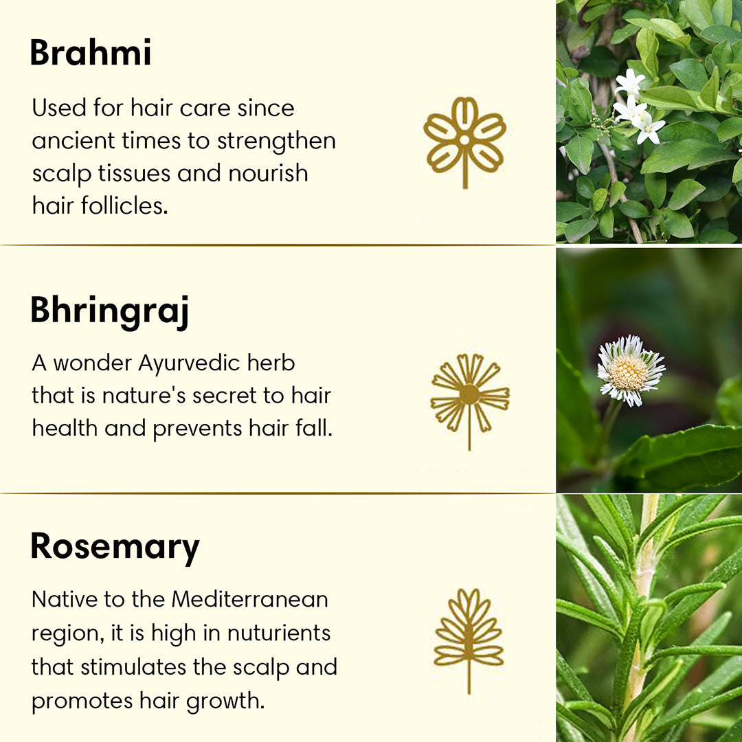 ANTI-HAIR FALL HAIR OIL | For Weak & Thinning Hair | Brahmi Bhringraj & Rosemary - Hair Oil