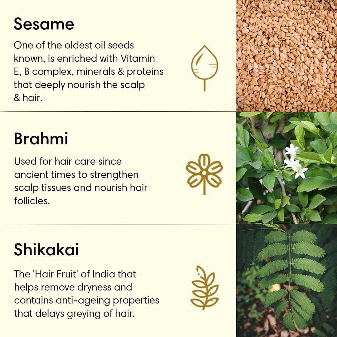 SHIKAKAI OIL PLUS HAIR OIL | For Breakage-Prone Hair | Sesame & Brahmi - 200ml - Hair Oil