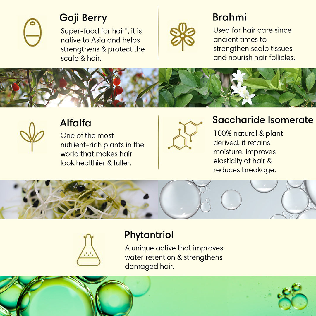 Combo Nourishing Hair | Hair Cleanser & Conditioner Pack - 400ml - Cleanser & Conditioner Combo