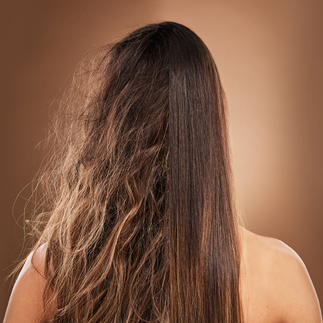 ANTI FRIZZ | Hair Serum | Jojoba Argan & Chamomile - 100ml - Hair Serum