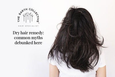 Dry Hair Remedy: Common Myths Debunked Here
