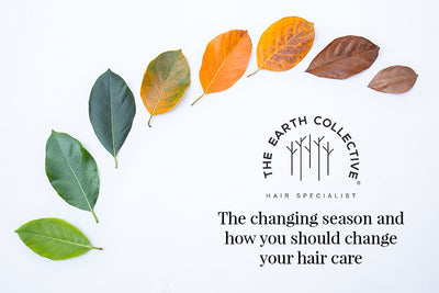 The Changing Season and How you Should Change your Hair Care