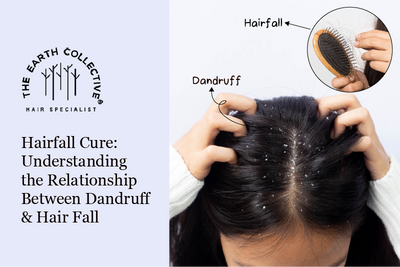 Hairfall Cure: Understanding the Relationship Between Dandruff & Hair Fall