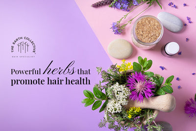 Powerful herbs that promote hair health