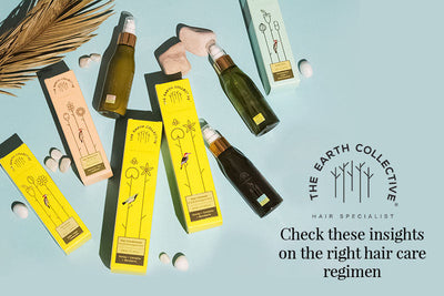 Check these Insights on the Right Hair Care Regimen