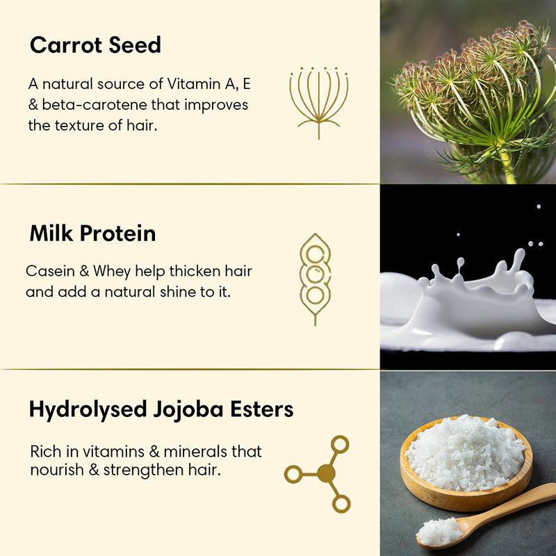 COLOUR TREATED | Hair Conditioner | Carrot Seed & Milk Protein