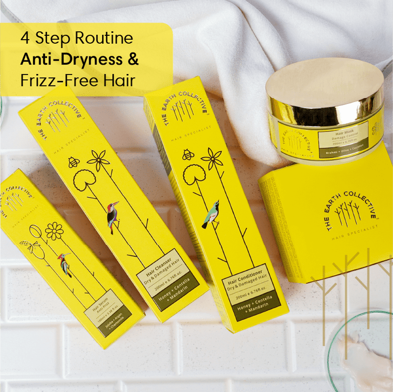 Dry & Frizzy Hair Regime | Set of 4