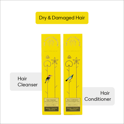 Combo Dry & Damaged Hair | Hair Cleanser & Conditioner Pack