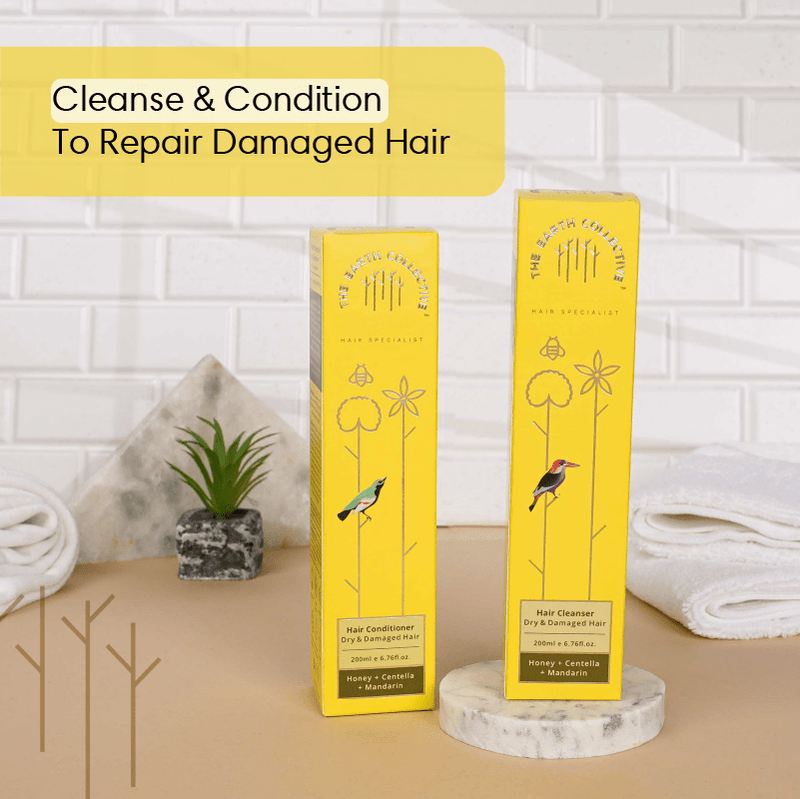 Combo Dry & Damaged Hair | Hair Cleanser & Conditioner Pack
