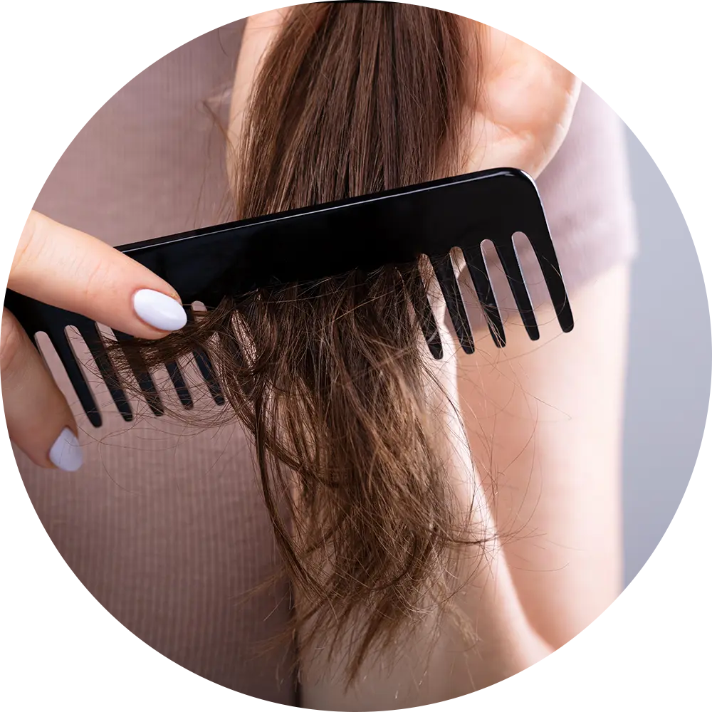 Dry & Dull Hair