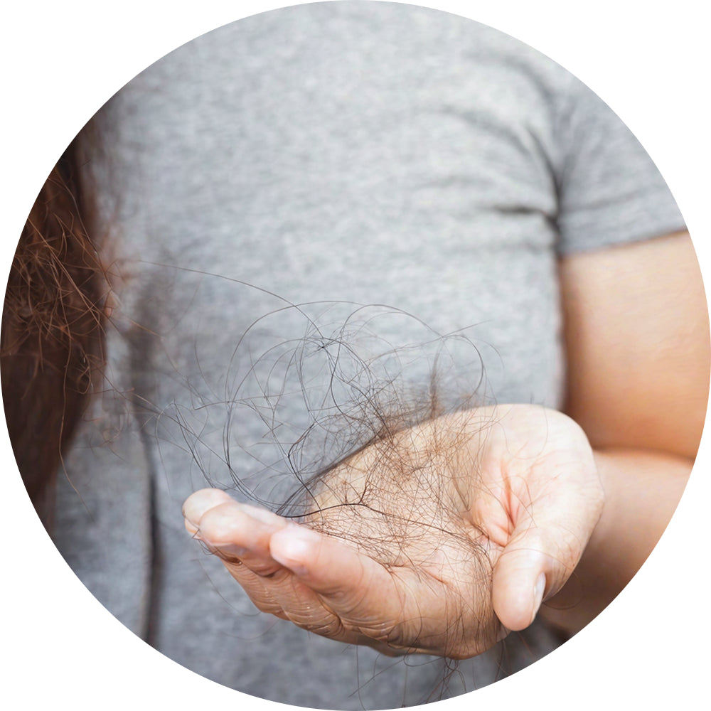 Mild Hair fall Control