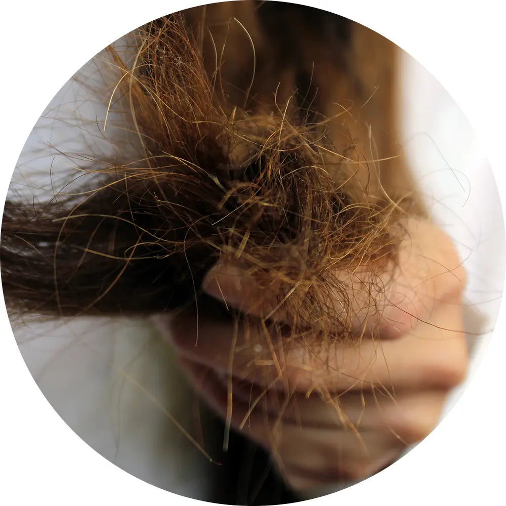 Porous & Dry Strands
