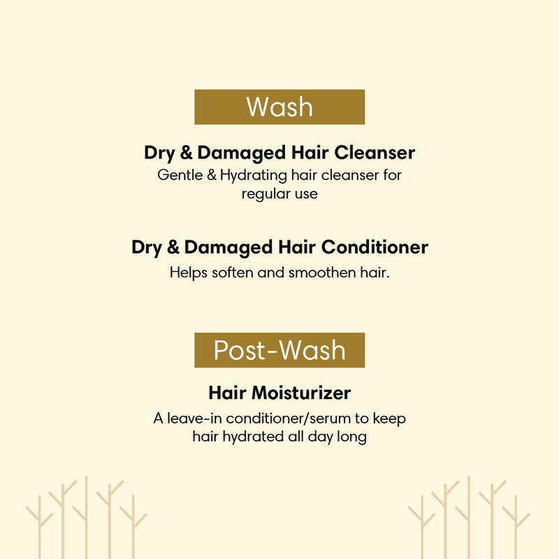 Dry & Rough Hair Regime - Trial Pack Set of 3